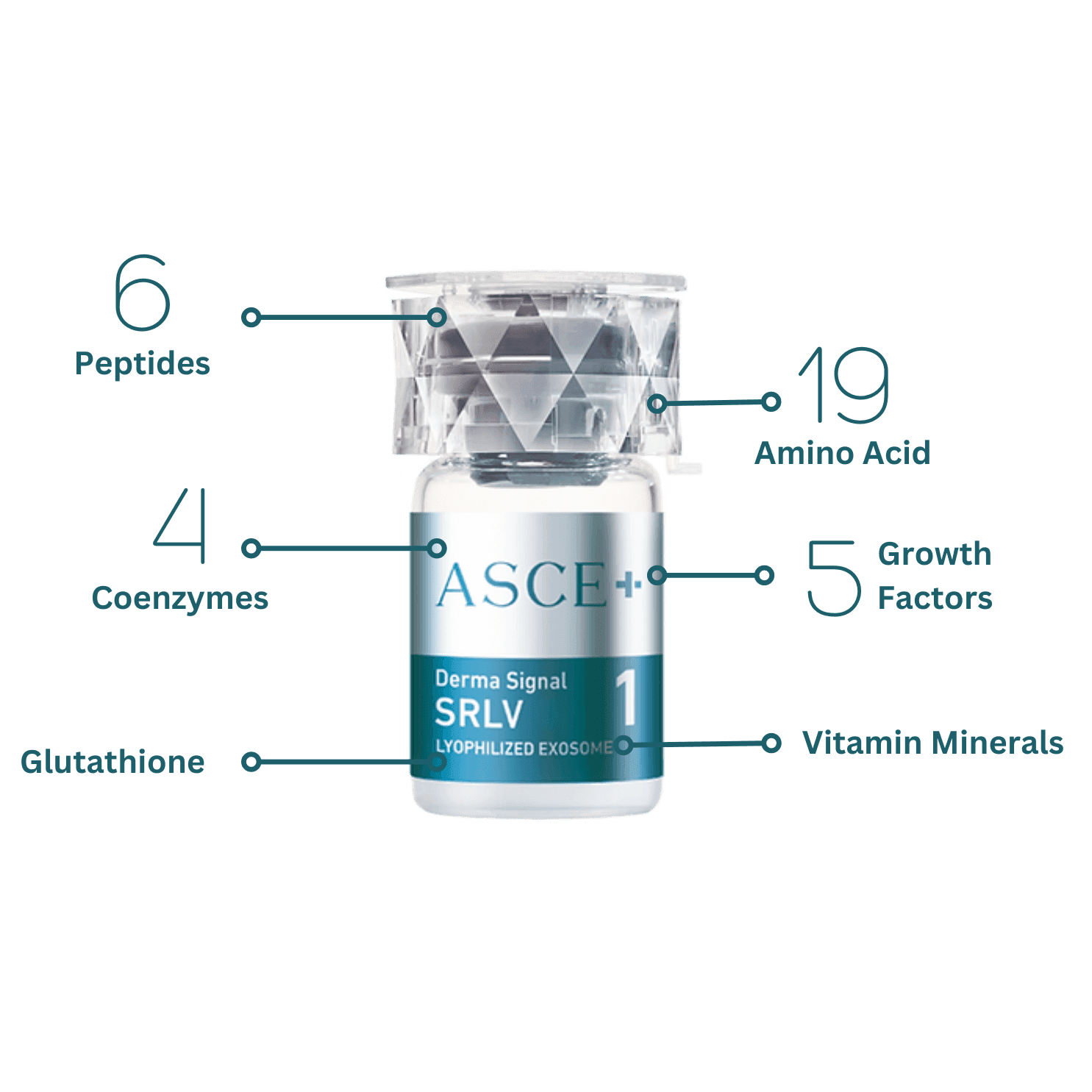 What is ASCE+ Exosomes?