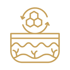 Skin Healing and Repair